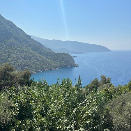 Kabak Armes Hotel Faralya Luaran gambar