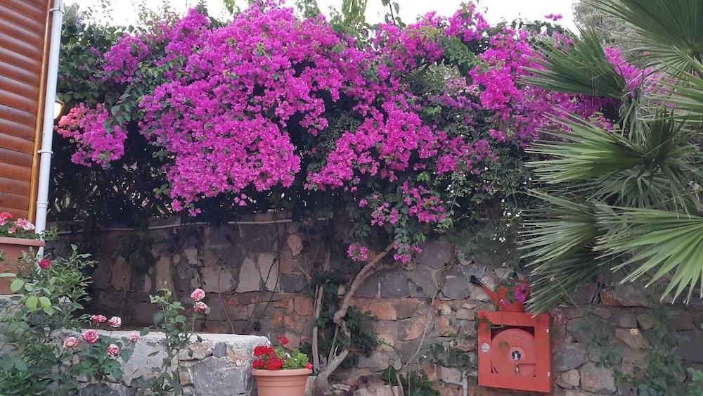 Kabak Armes Hotel Faralya Luaran gambar