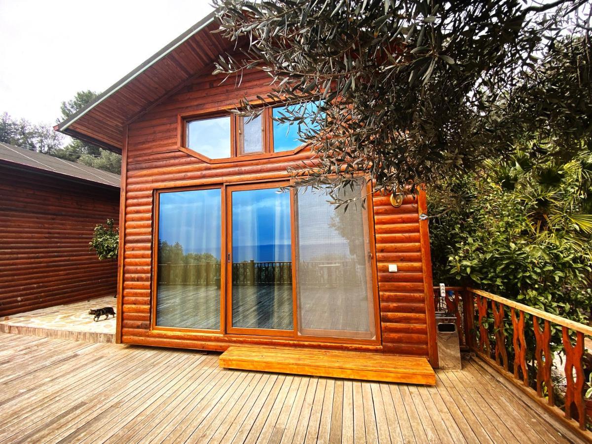Kabak Armes Hotel Faralya Luaran gambar